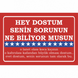 dostum senin sorunun ne biliyor musun amerikan filmleri meşhur replikler duvar yazıları ahşap poster dostum senin sorunun ne biliyor musun amerikan filmleri meşhur replikler duvar yazıları ahşap poster