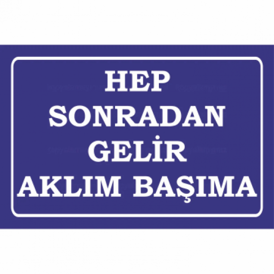 hep sonradan gelir aklım başıma ahmet kaya komik atarlı sözler duvar yazıları retro ahşap poster