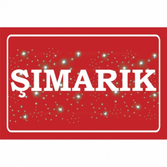 şımarık genç kız çocuk odası kapı levhası komik sözler duvar yazıları retro ahşap poster