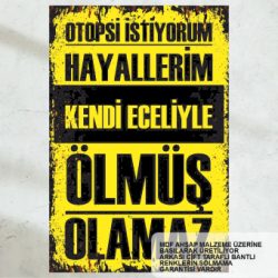  hayallerim öldü komik atarlı sözler duvar yazıları retro ahşap poster tablo