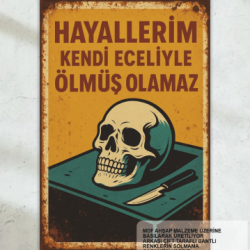 hayallerim kendi eceliyle ölmüş olamaz komik esprili sözler duvar yazıları retro ahşap poster tablo