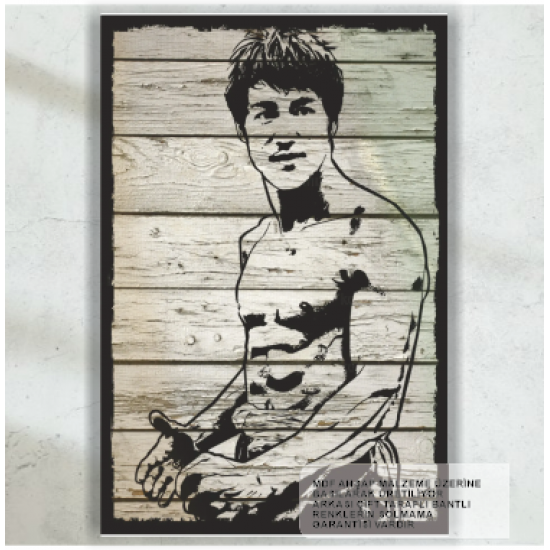 bruce lee karate tekvando judo spor ev dekorasyon tablo retro ahşap poster