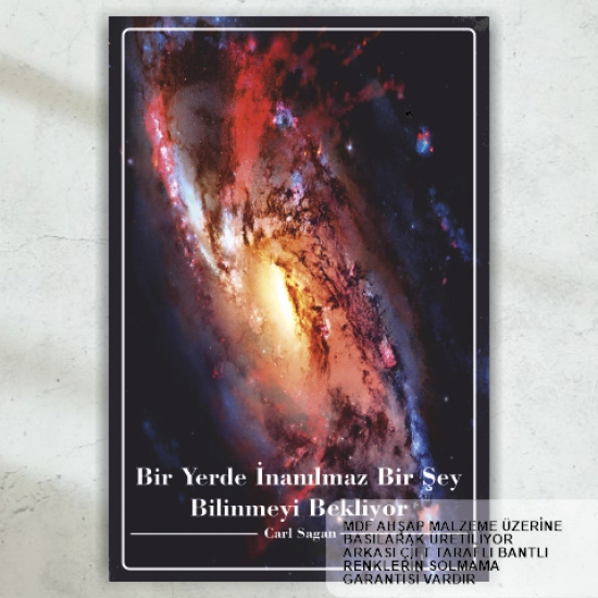 carl sagan bilim uzay retro ahşap poster tablo